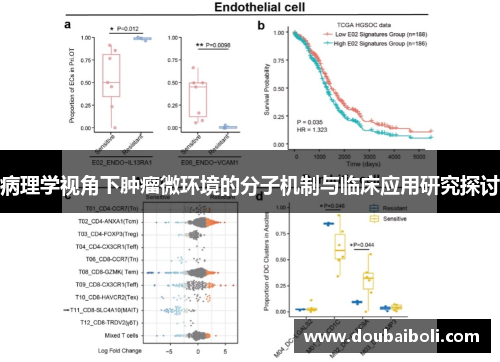 病理学视角下肿瘤微环境的分子机制与临床应用研究探讨